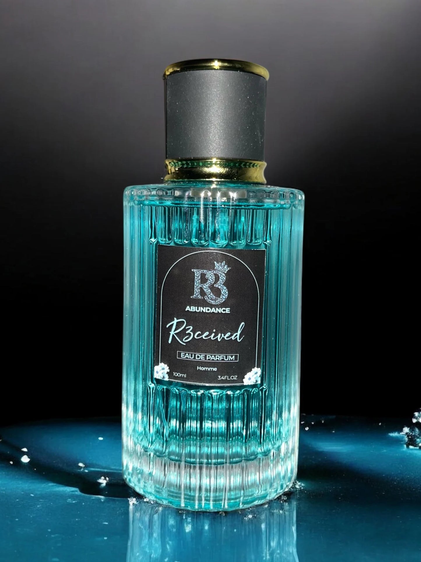 Abundance by R3CEIVED – Bold. Refined. Magnetic. – Eau de Parfum (100ml)- Homme