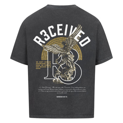 R3ceived Genesis 9:12-13 Oversized Shirt